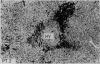 103