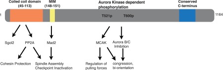 Figure 11.