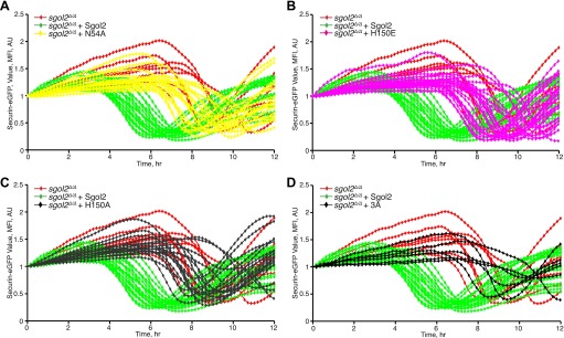 Figure 4—figure supplement 2.