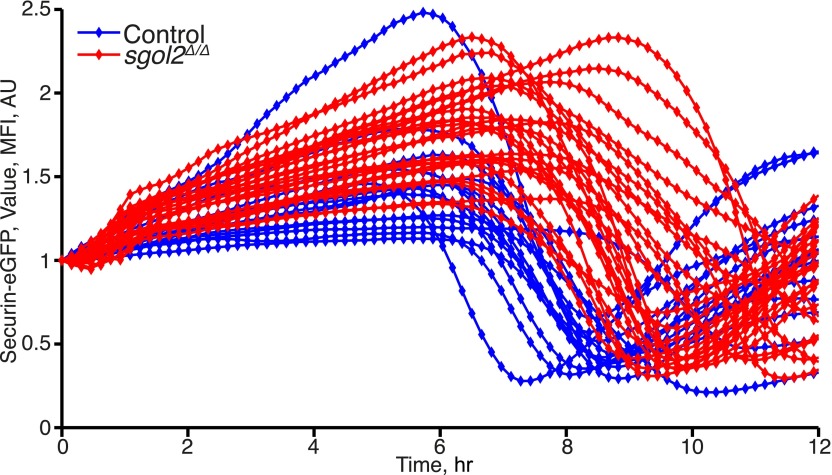 Figure 4—figure supplement 1.