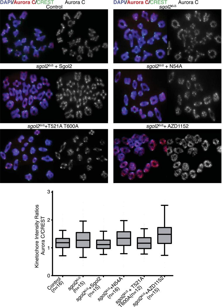 Figure 10.