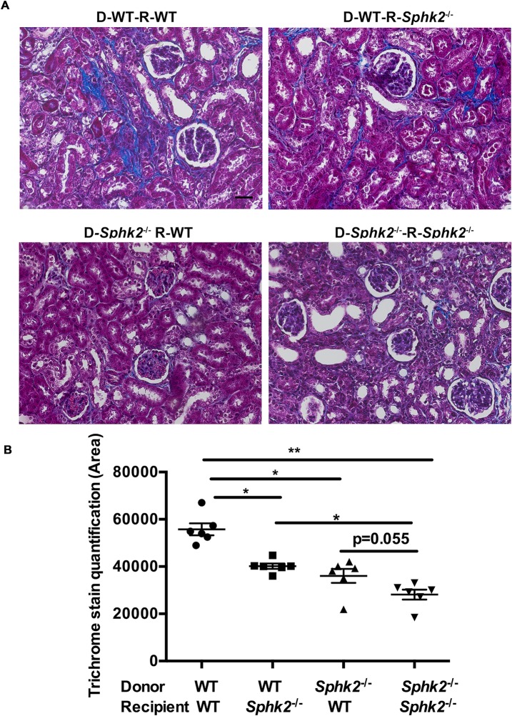 Fig 10