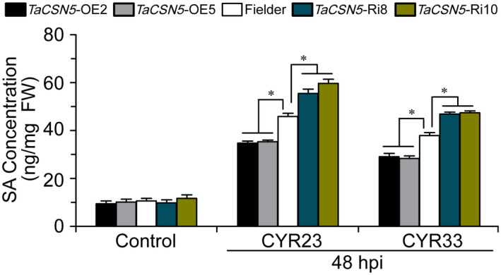 FIGURE 7