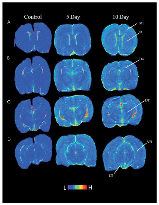 Fig. 6