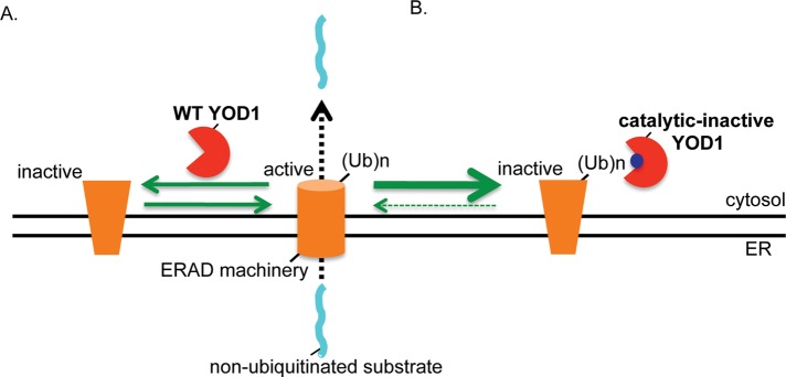 FIGURE 9: