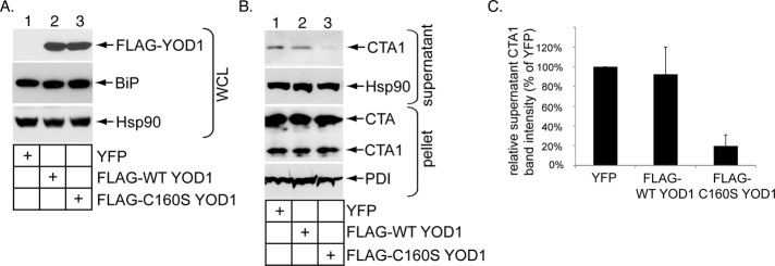 FIGURE 3: