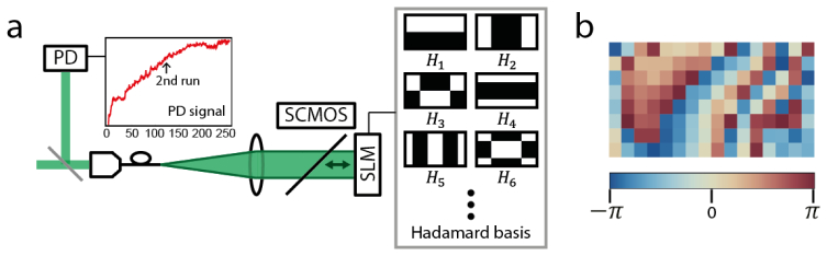 Fig. 4