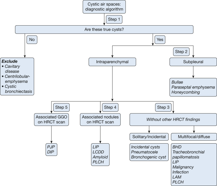 Figure 6