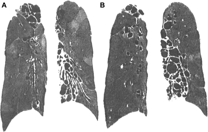 Figure 5