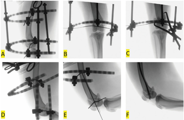 Fig. 3.