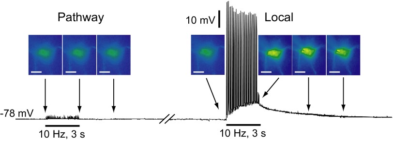 FIG. 6.