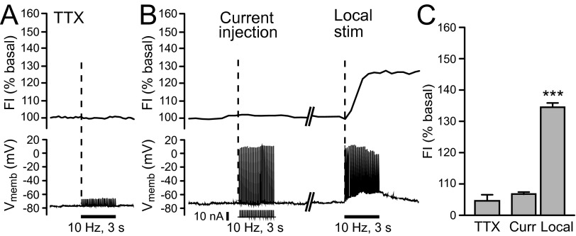 FIG. 2.