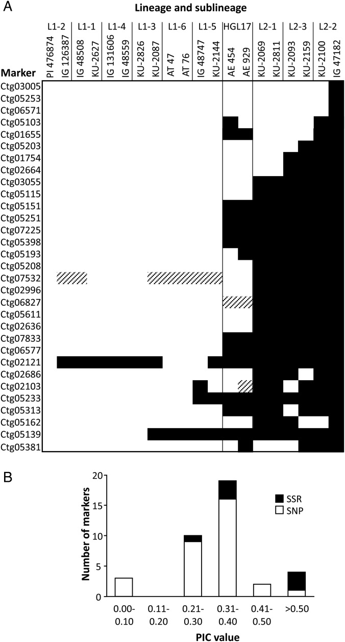 Figure 3.