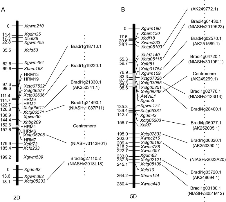 Figure 4.