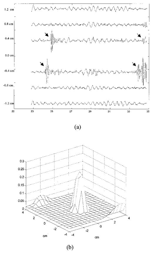 Fig. 8