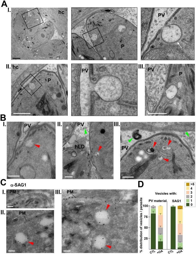 Fig 11