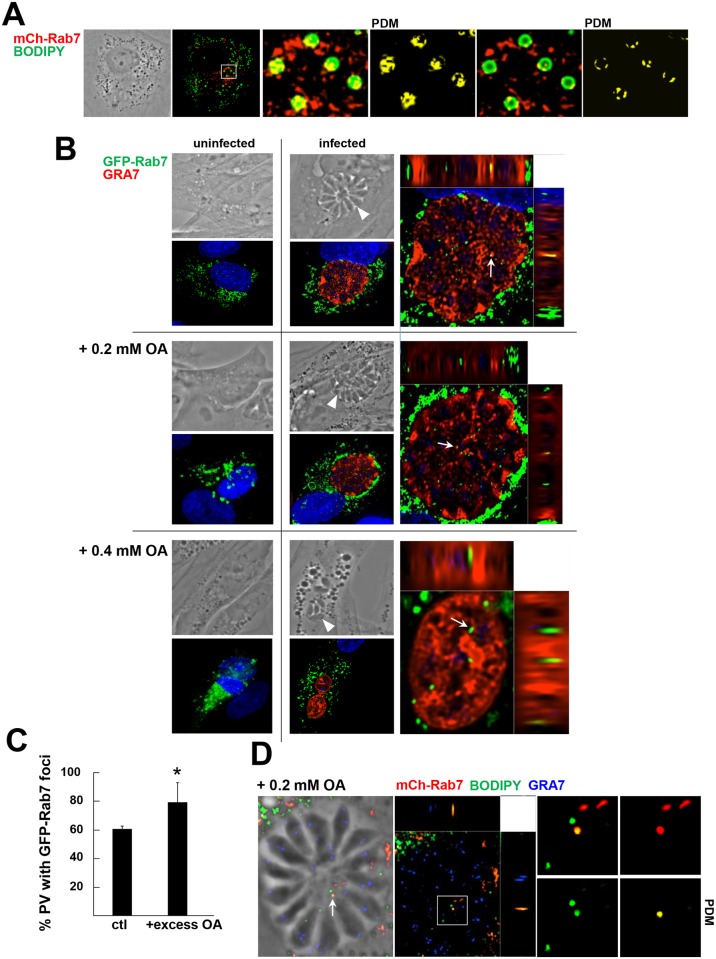 Fig 6