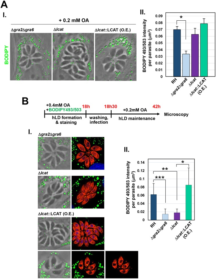 Fig 8