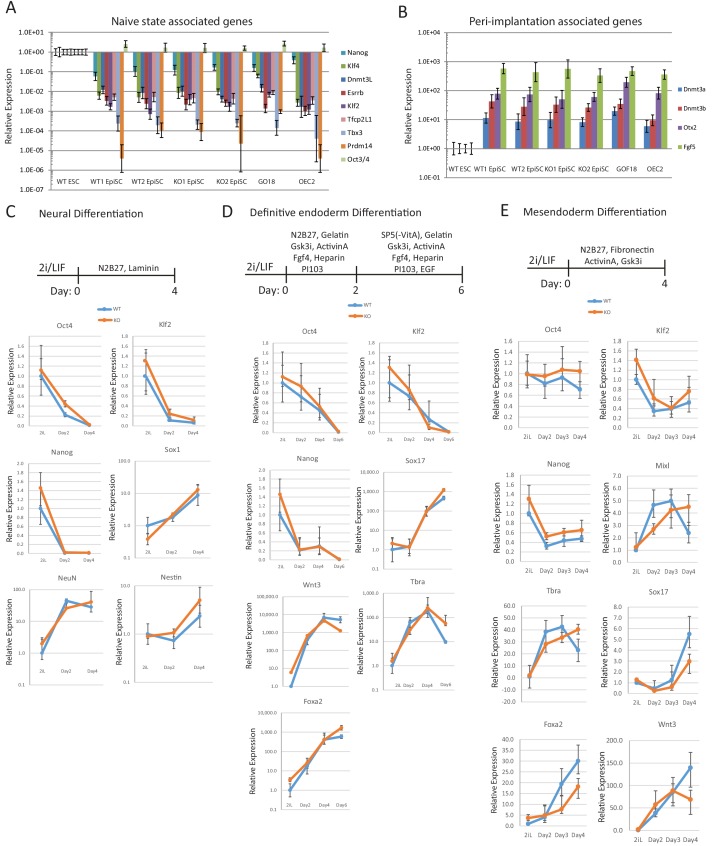 Figure 2—figure supplement 4.