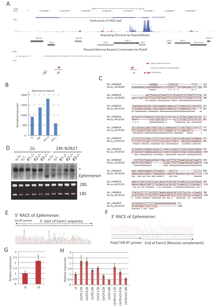 Figure 1—figure supplement 1.