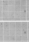 FIG. 1