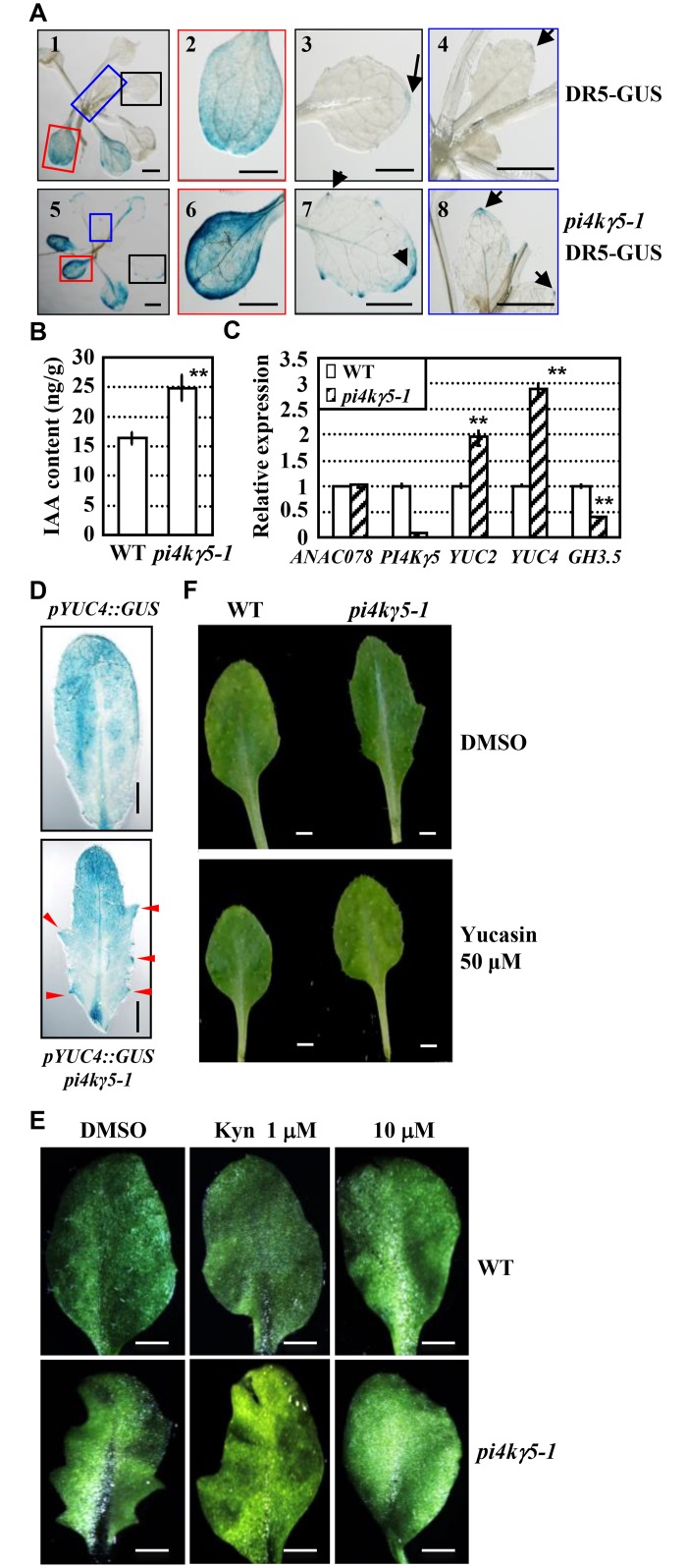 Fig 4