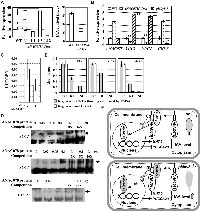 Fig 6