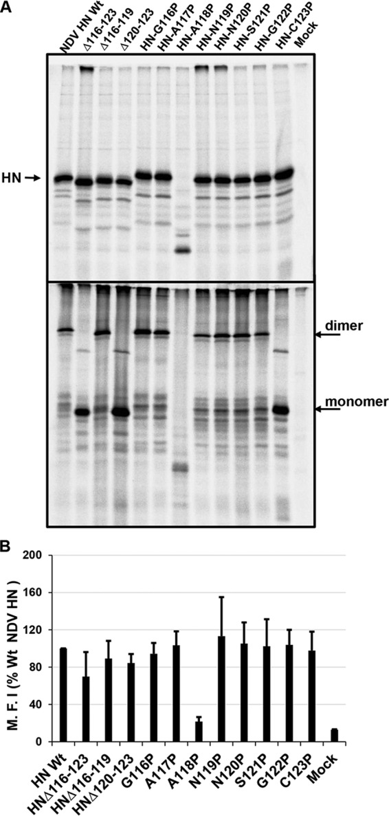 FIG 4