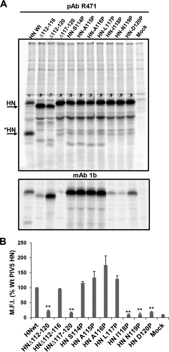 FIG 2