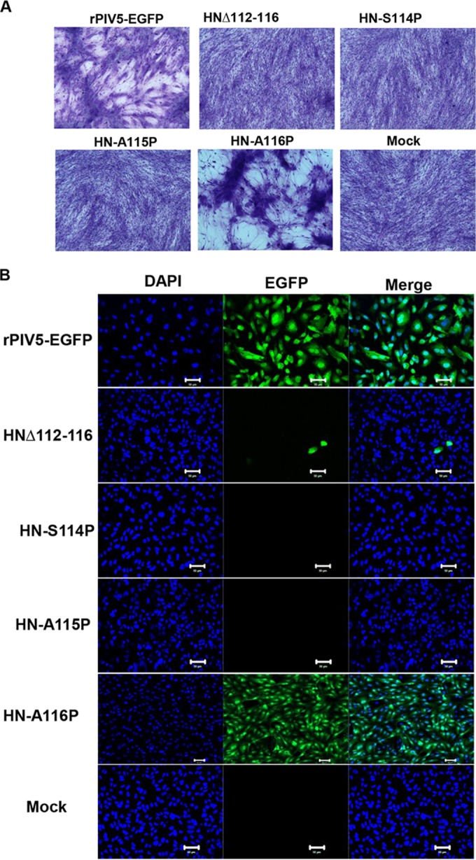 FIG 6