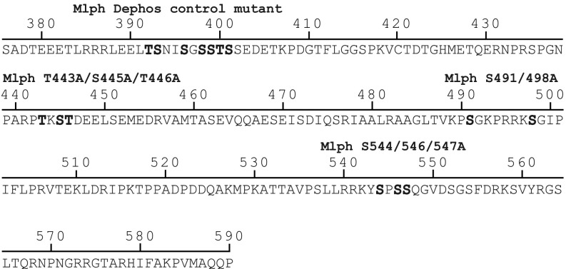 Fig. S5.