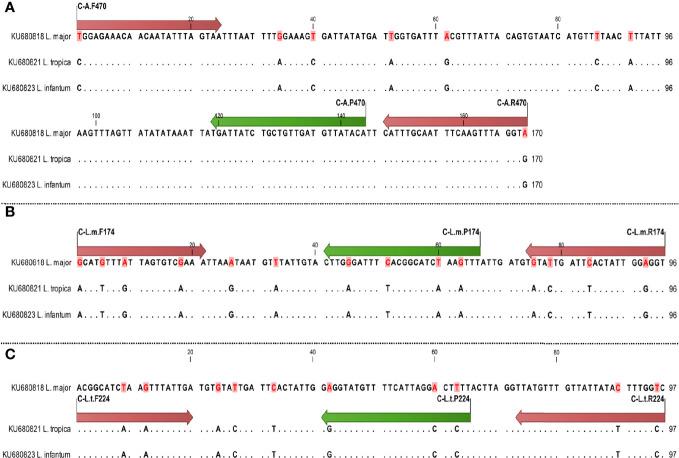 Figure 1