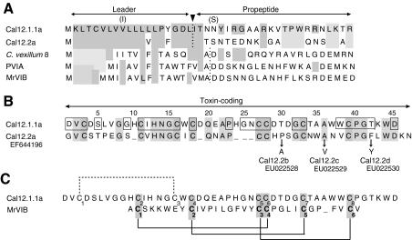 Fig. 10.