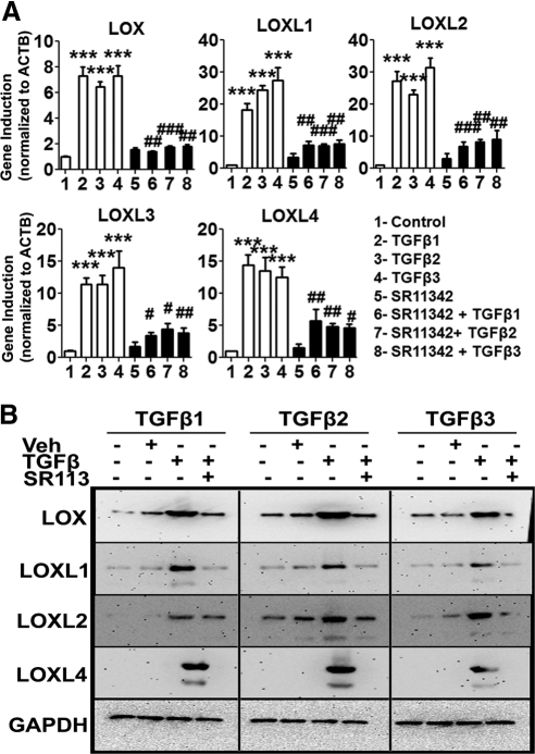 Figure 9.