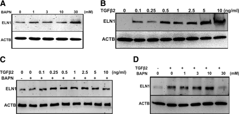 Figure 10.