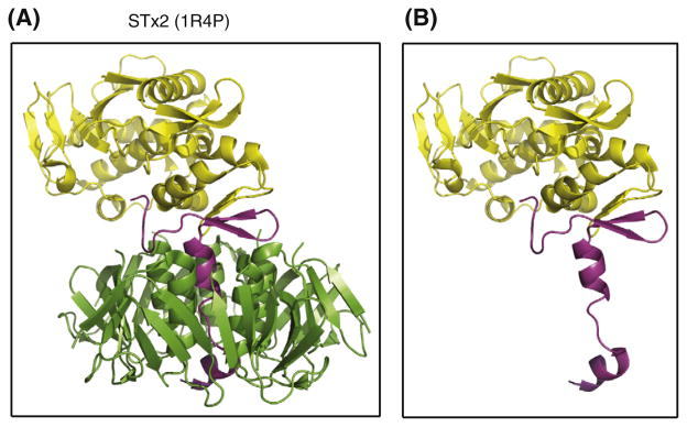 Fig. 5