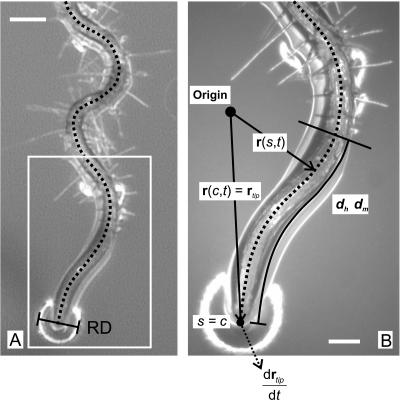 Figure 12.