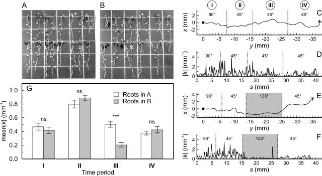 Figure 10.