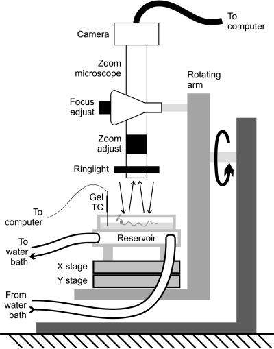 Figure 11.