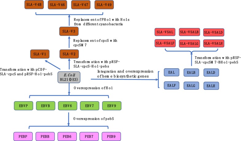 Fig. 2