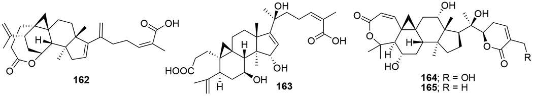 FIGURE 40