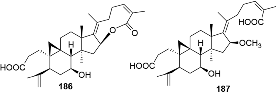 FIGURE 44