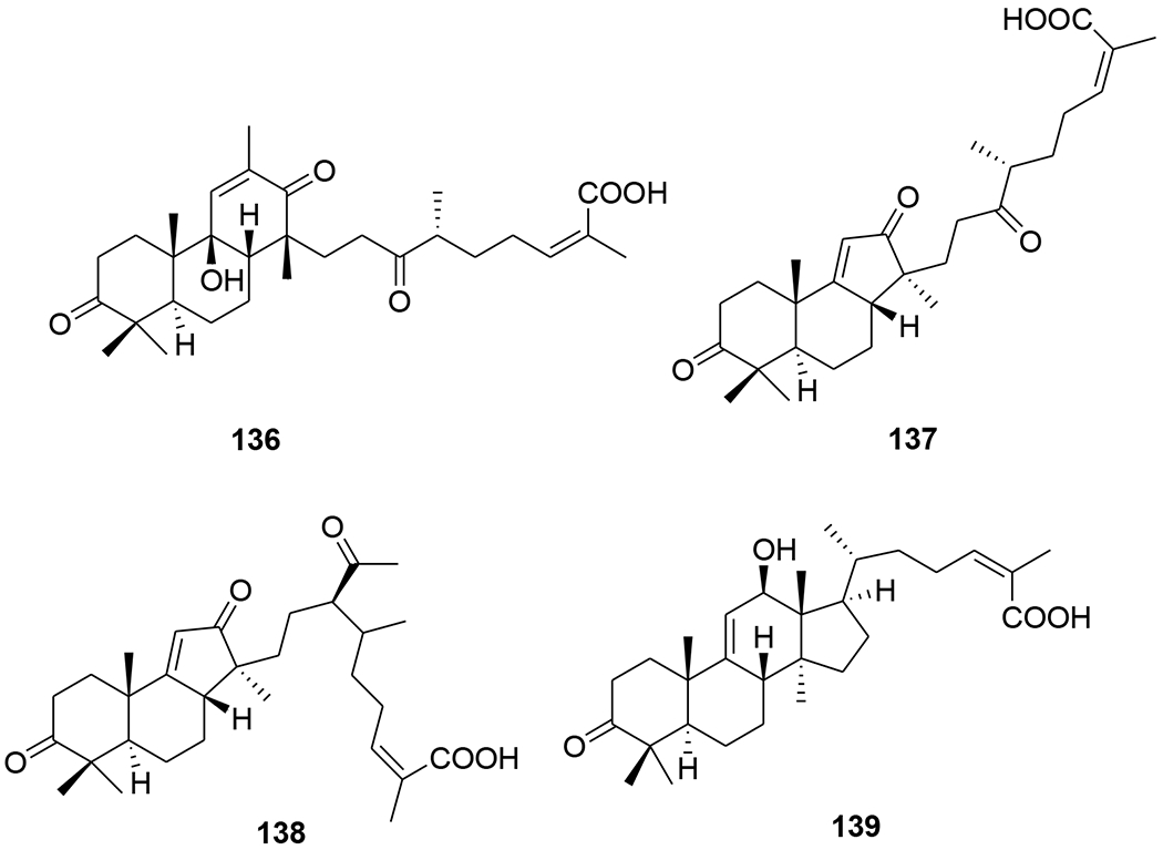 FIGURE 33