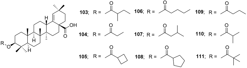 FIGURE 24