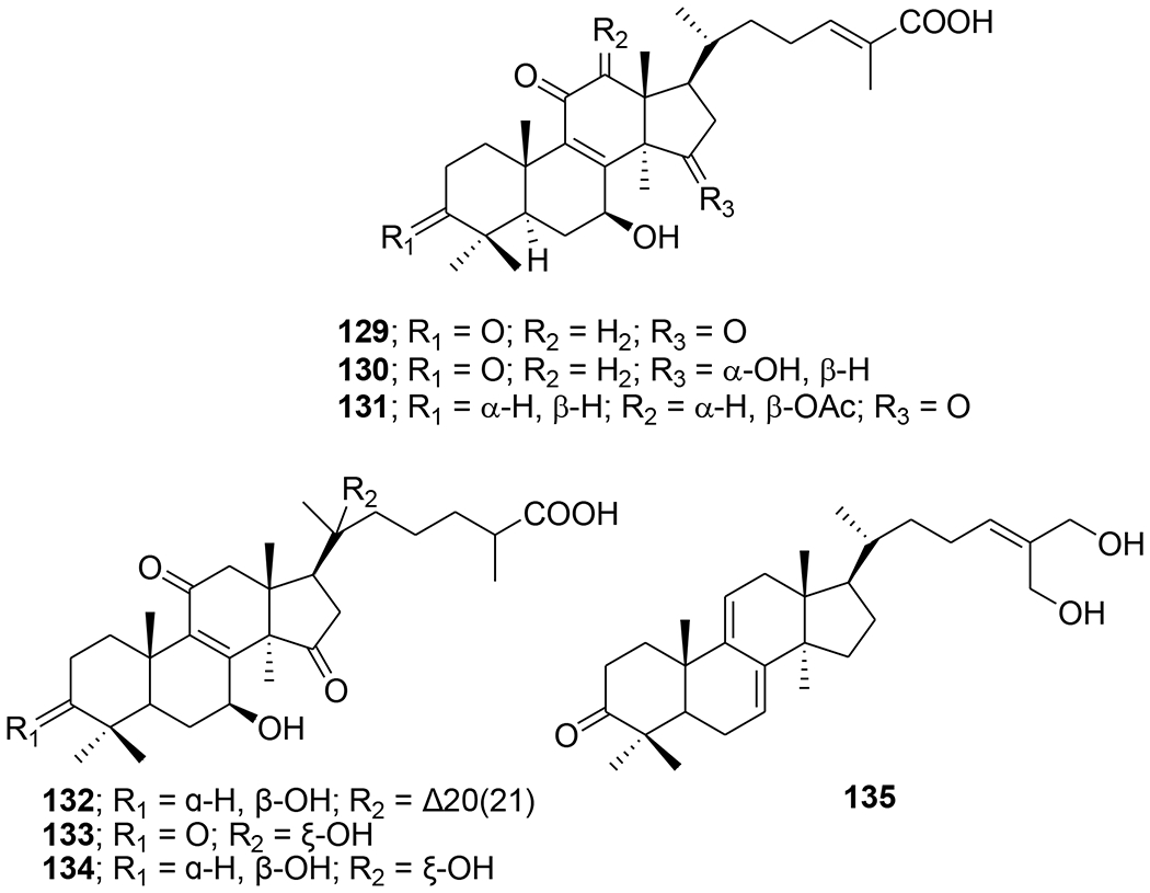 FIGURE 32