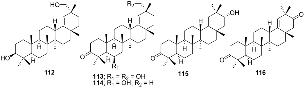 FIGURE 25