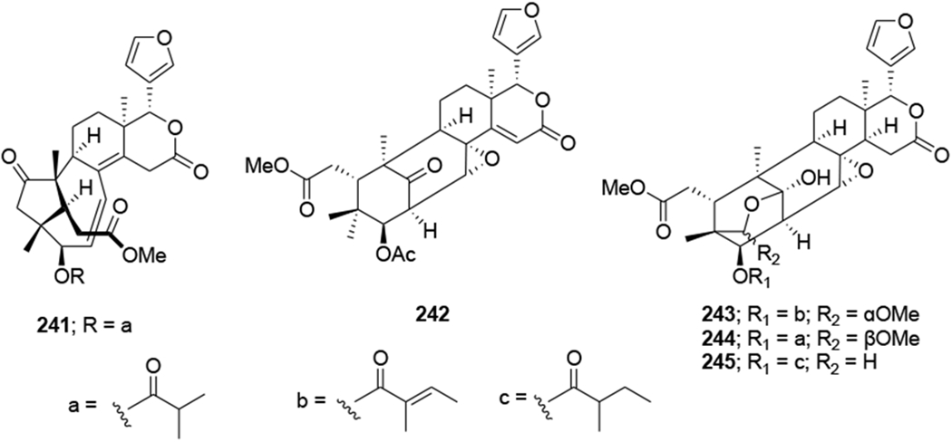 FIGURE 50