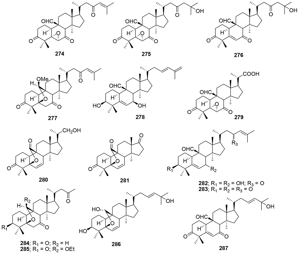 FIGURE 61