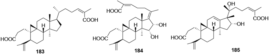 FIGURE 43