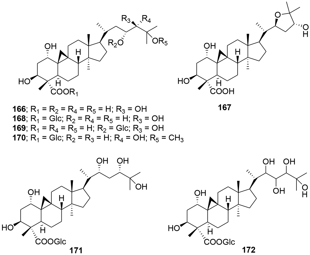 FIGURE 41